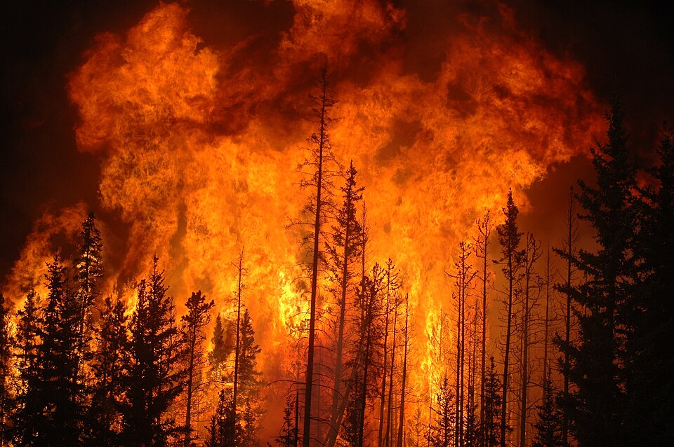 Global Wildfire Report 2026: Where Fires Are Burning and Whether This Season Is Worse